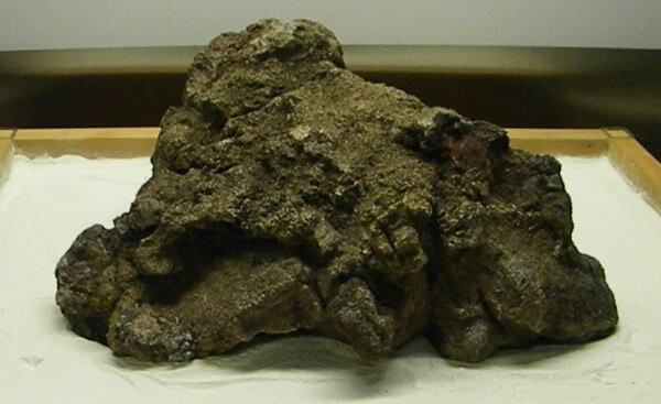 Những cục vàng lớn hơn đã bị nấu chảy sau khi được bán, nhưng Pepita Canada hiện vẫn được trưng bày. Ảnh: Goldvu