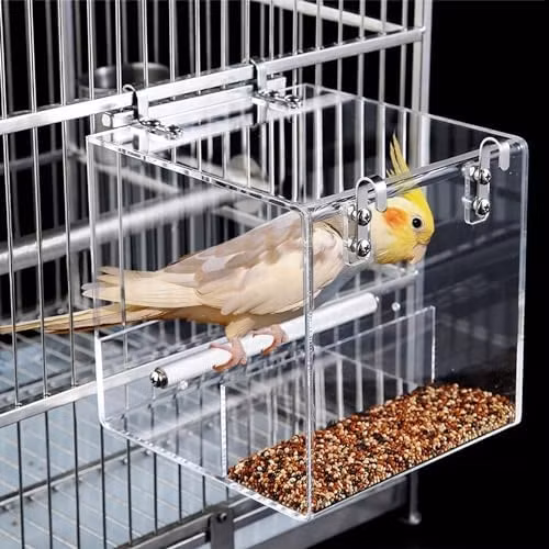 Những chú chim được vỗ béo bằng cách liên tục bị nhồi nhét các loại thức ăn bổ dưỡng như nho khô, quả sung, hạt kê. Ảnh: Amazon