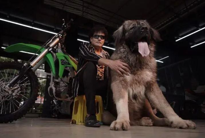 Theo Hindustantimes, S Sathish (từ Bengaluru, bang Karnataka miền Nam Ấn Độ) nổi tiếng là người sở hữu những giống chó đắt tiền. Đáng chú ý, anh được một chủ công ty xây dựng ở Hyderabad trả 200 triệu Rupee (hơn 59 tỷ đồng) cho chú chó chăn cừu Caucasian. Ảnh: NDTV