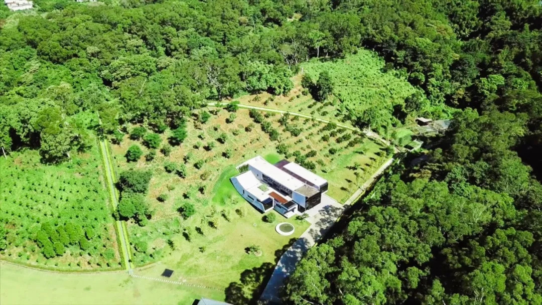 Vị doanh nhân chọn ngọn đồi ở ngoại ô Tân Trúc là nơi để xây nhà, cùng con cháu quây quần, sum họp. Ảnh: Sohu