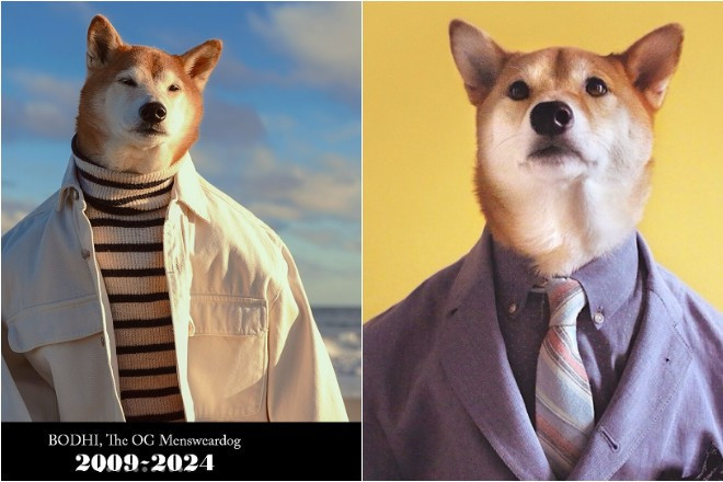 Mới đây, cộng đồng mạng xôn xao khi Yena Kim chia sẻ bài viết đầy xúc động, thông báo chú chó Bodhi đã qua đời ở tuổi 15. Ảnh: Today