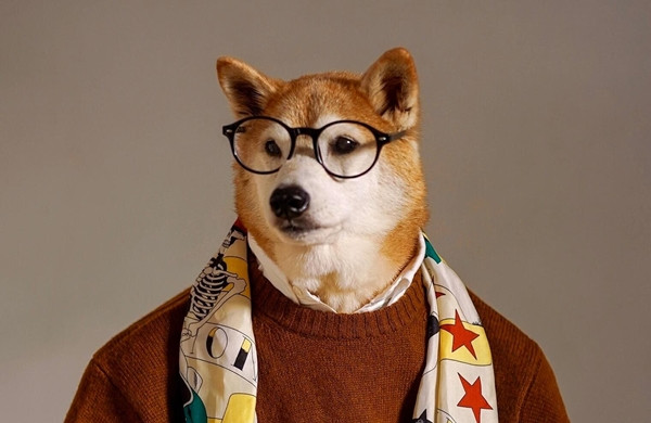 Số tiền Bodhi kiếm được đủ để thúc đẩy chủ nhân Yena Kim quyết định từ bỏ công việc toàn thời gian vào tháng 4/2013. Ảnh: 234Star