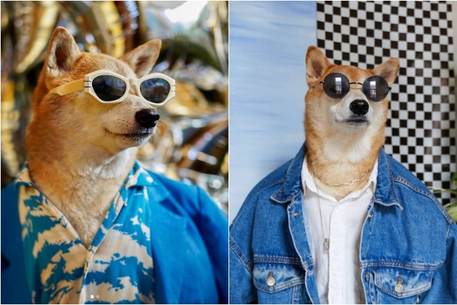 Bodhi nổi tiếng từ khi được cô Yena Kim và chồng David Fung mặc cho những bộ trang phục nam hàng hiệu và chia sẻ trên mạng xã hội năm 2013. Ảnh: Today