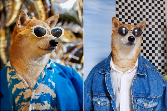 Bodhi nổi tiếng từ khi được cô Yena Kim và chồng David Fung mặc cho những bộ trang phục nam hàng hiệu và chia sẻ trên mạng xã hội năm 2013. Ảnh: Today