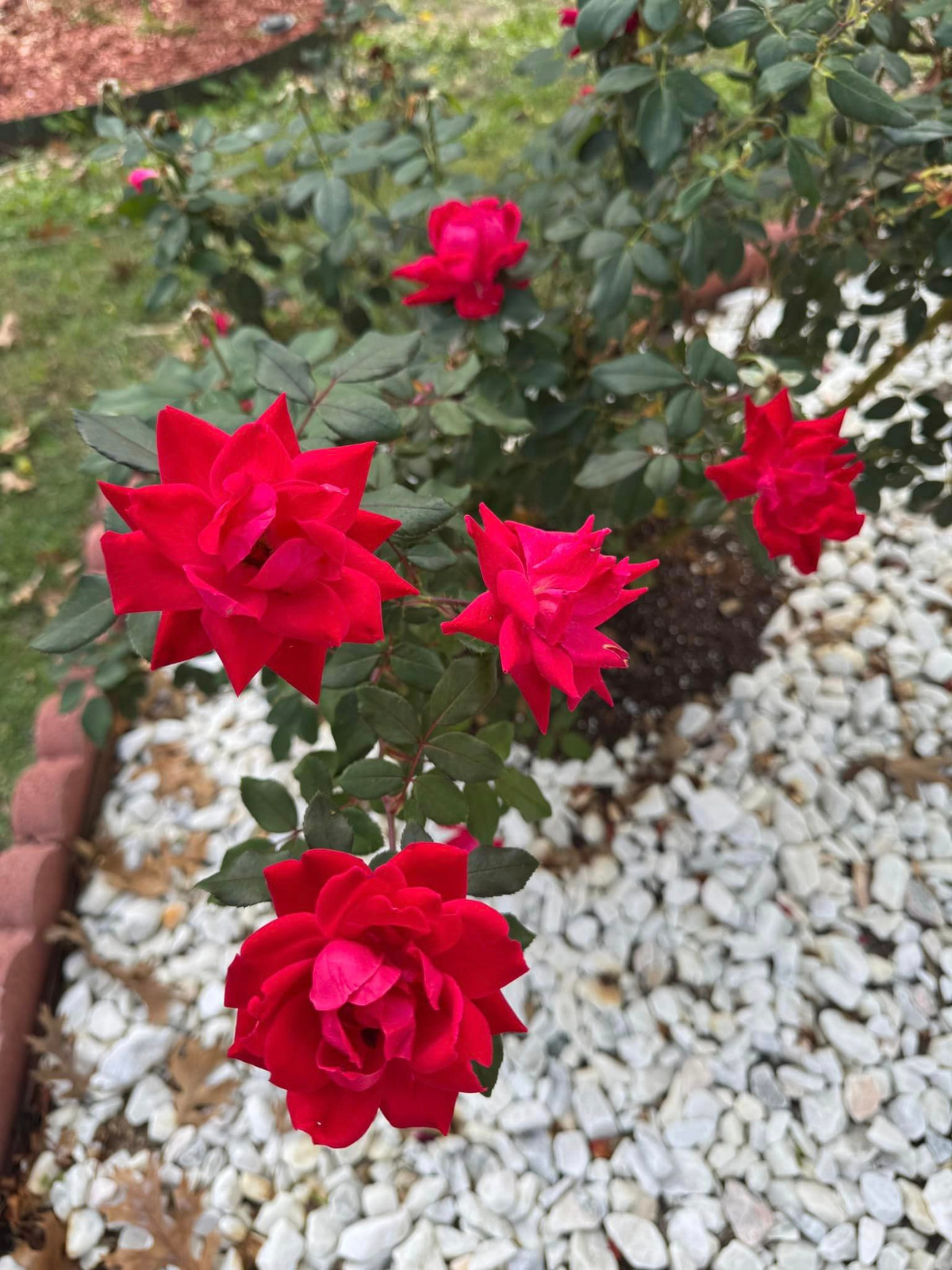 Đan Trường tậu nhà mới tại Mỹ sau khi ly hôn. Anh tự chọn từng chiếc bàn, ghế, đèn, thay sàn gỗ cho căn nhà để ở cùng bố mẹ mỗi dịp sang Mỹ lưu diễn. Ảnh: FB Dan Truong Pham