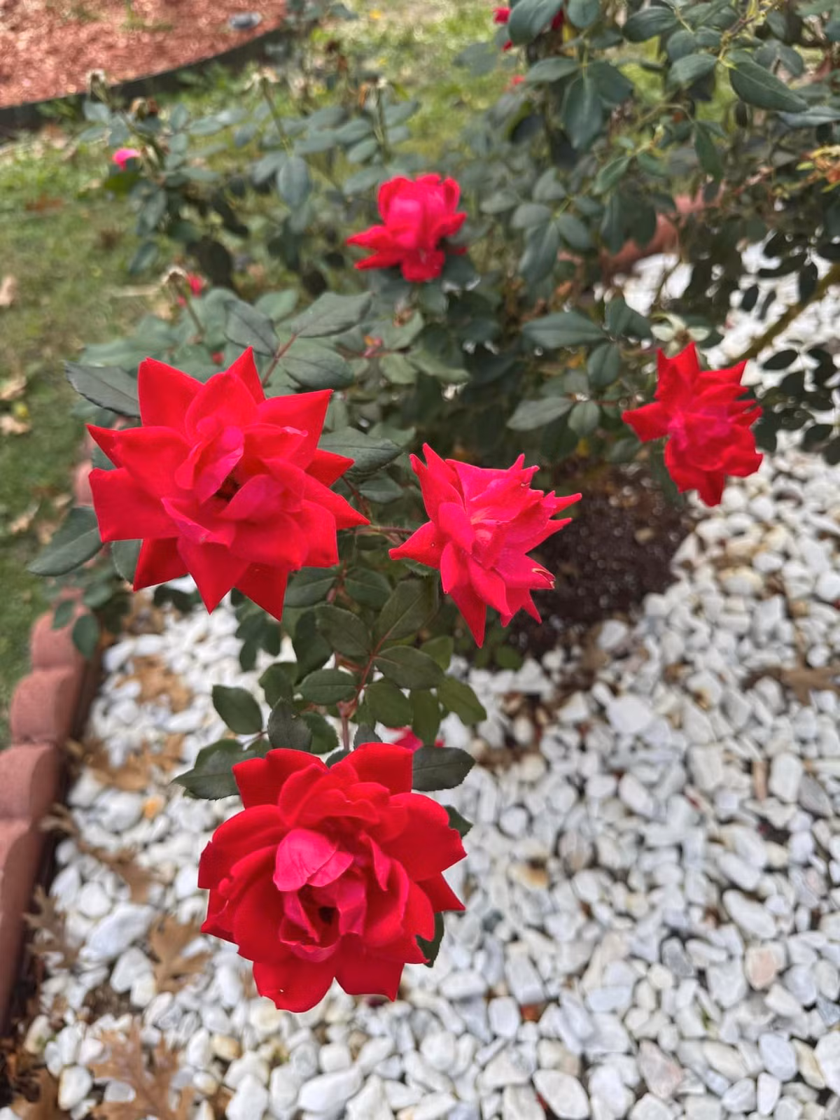 Đan Trường tậu nhà mới tại Mỹ sau khi ly hôn. Anh tự chọn từng chiếc bàn, ghế, đèn, thay sàn gỗ cho căn nhà để ở cùng bố mẹ mỗi dịp sang Mỹ lưu diễn. Ảnh: FB Dan Truong Pham