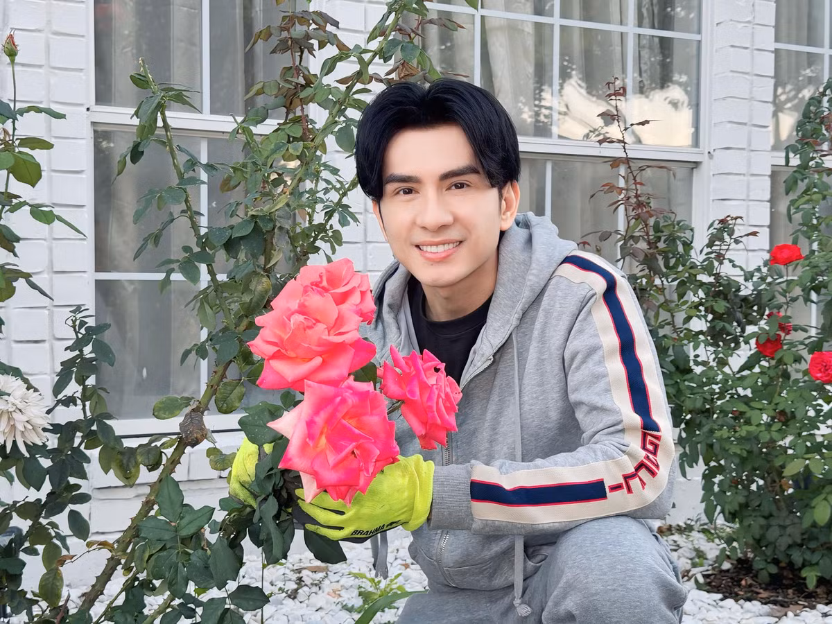 Mới đây trên trang cá nhân, ca sĩ Đan Trường khoe vườn hồng nở rộ trước cửa nhà khiến nhiều khán giả xuýt xoa. Ảnh: FB Dan Truong Pham