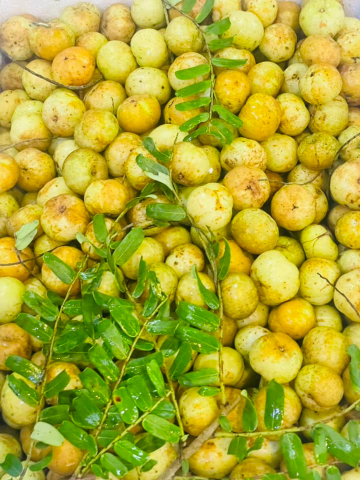 Mấy năm gần đây, me rừng bỗng gây sốt và được nhiều chị em văn phòng tìm mua. Ảnh: Facebook