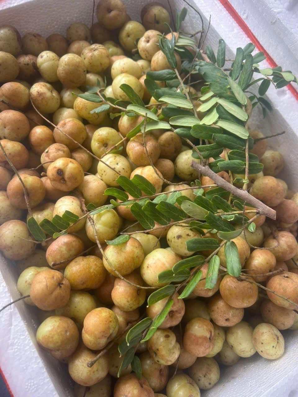Người bán thường quảng cáo các loại me rừng đi kèm với muối ớt, giá từ 55.000 - 80.000 đồng/kg. Ảnh: Facebook