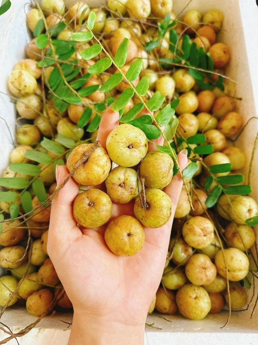 Me rừng Trung Quốc cũng được bán tại Việt Nam. Me rừng Việt thường quả nhỏ và vỏ xanh; khi ăn sẽ cảm nhận vị chua chát trước rồi mới đến vị ngọt. Ảnh: Facebook