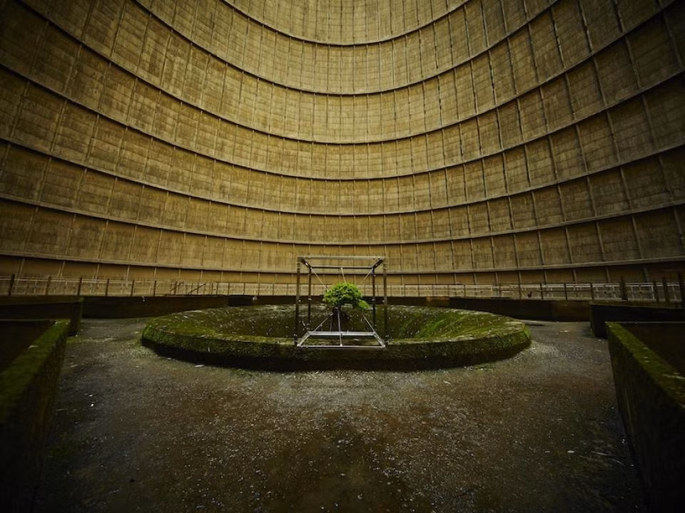 Azuma Makoto, một nghệ sĩ đến từ Tokyo (Nhật Bản) đã đặt thế giới tự nhiên vào những bối cảnh kỳ lạ và khó tin nhất, từ việc cắm những bông hoa kỳ lạ bên trong cho đến việc đưa cây bonsai vào không gian. Ảnh: Abanahomes