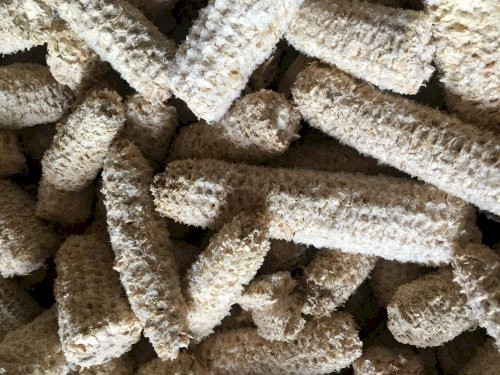 Ở Việt Nam, lõi ngô được nghiền nát hoặc hấp chín để làm thức ăn cho lợn. Một số nơi dùng lõi ngô như củi để nhóm lửa. Ảnh: Internet