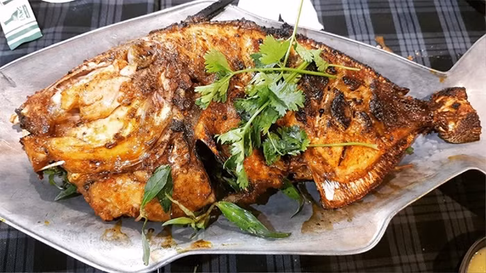 Cá bò giáp được khách hàng ưa chuộng bởi thịt dai, ngọt, trắng ngần cực kỳ đẹp mắt và thơm ngon. Ảnh: Saostar