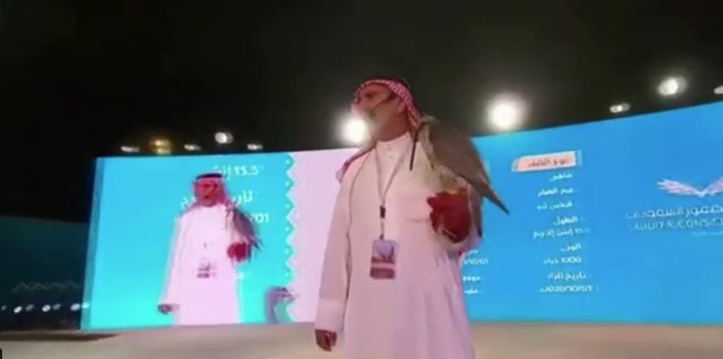 Ban đầu, con chim ưng có giá khởi điểm 27.000 USD (629 triệu đồng) và sau nhiều màn "ngã giá", người chủ mới của con chim đã trả tới 108.000 USD (2,7 tỷ đồng). Ảnh: SPA