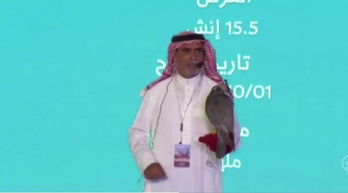 Con chim ưng này được coi là một trong những loài chim đắt nhất được bán trong một cuộc đấu giá. Ảnh chụp màn hình