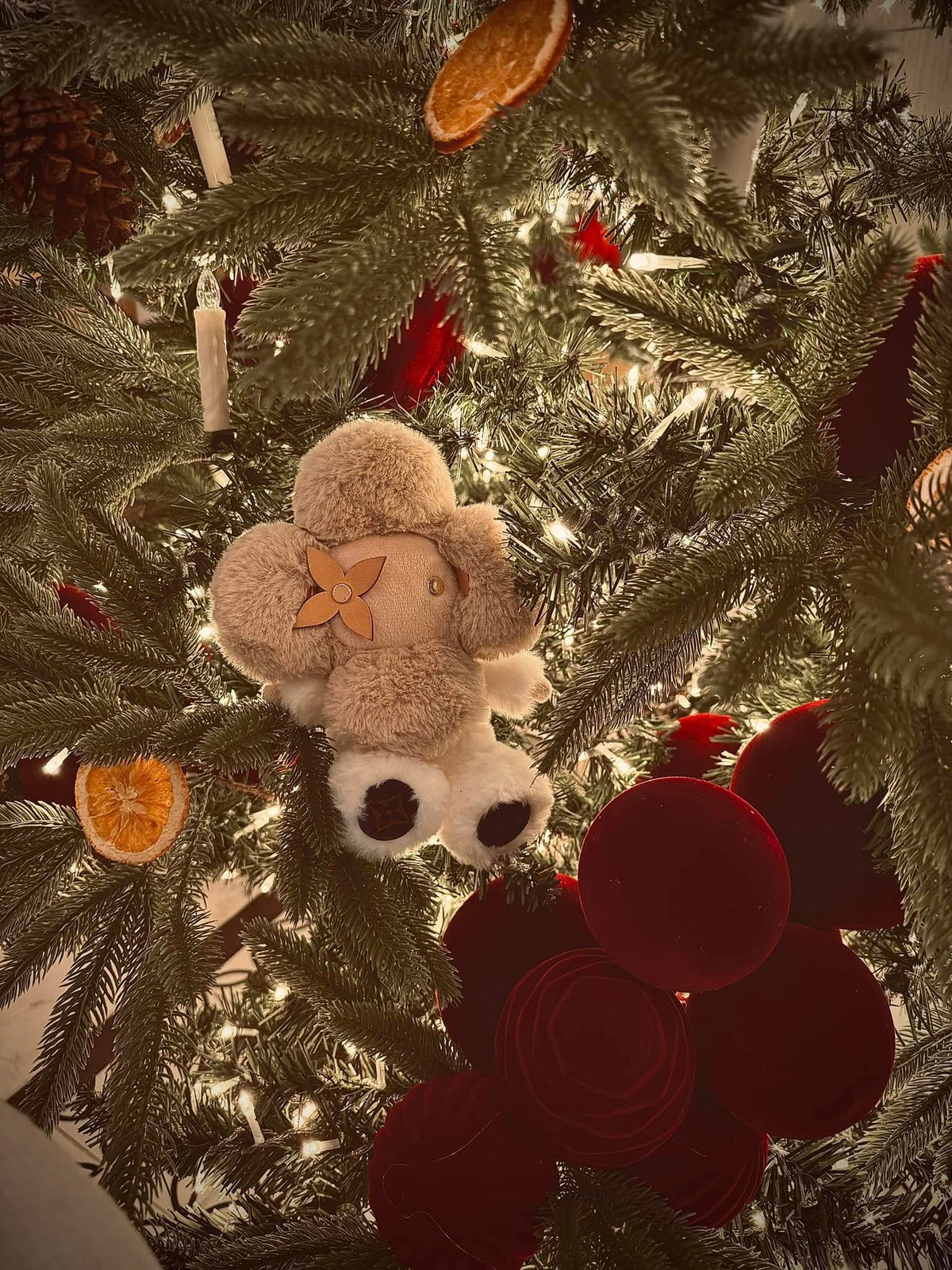 Nhờ đó, mỗi góc nhỏ trong ngôi nhà đều lộng lẫy, thú vị hơn. Ảnh: FB Đoàn Di Băng