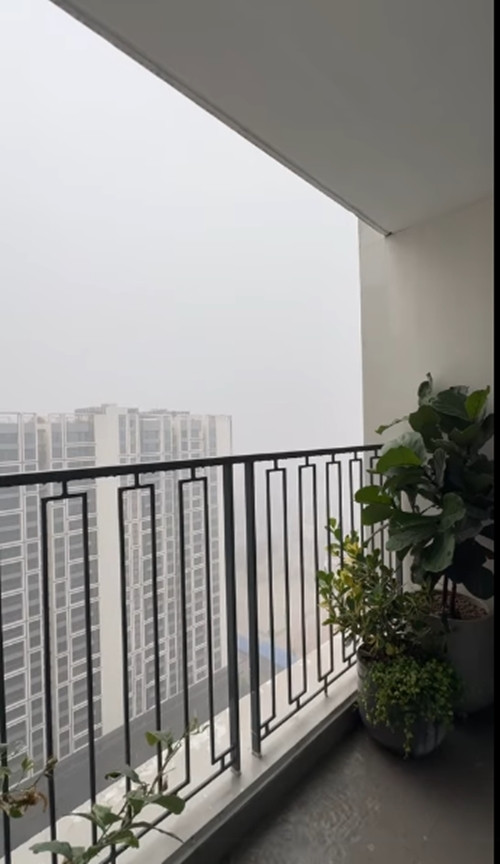 Tại khu vực ban công, nữ MC đặt nột vài chậu cây xanh. Ảnh: FB Mai Ngọc