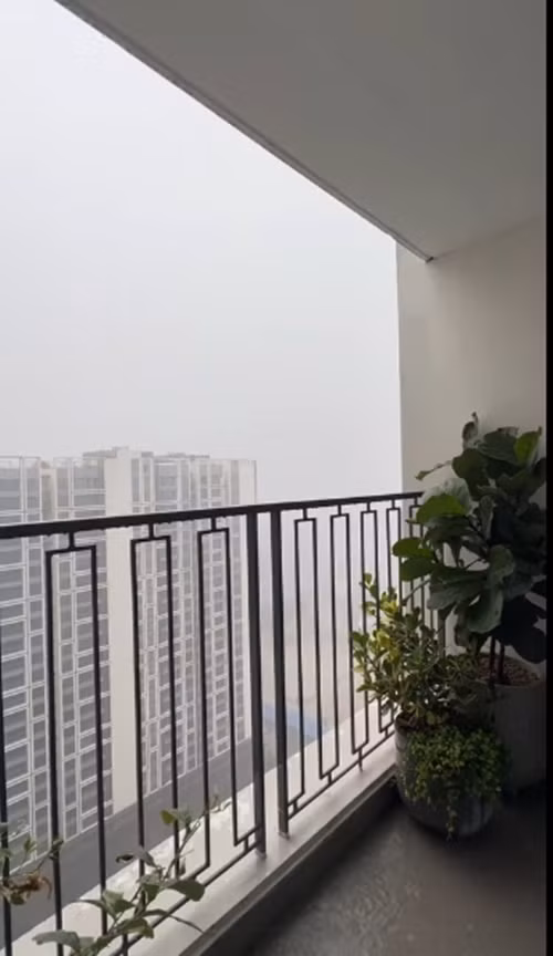 Tại khu vực ban công, nữ MC đặt nột vài chậu cây xanh. Ảnh: FB Mai Ngọc