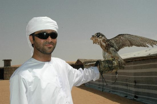 Giới giàu có ở các nước Ả Rập có thú sưu tập chim ưng và “thú cưng” của họ được cưng chiều, chăm sóc như những ông hoàng. Ảnh: Tripadvisor