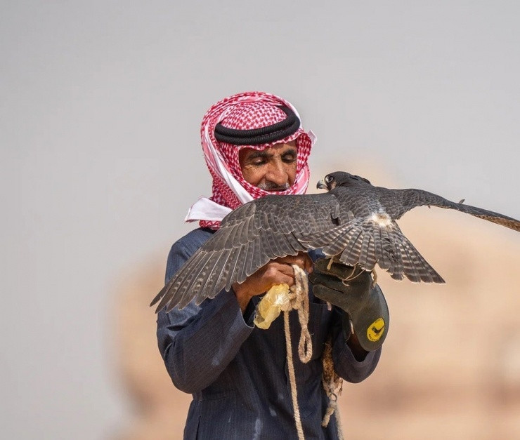 Hình ảnh chim ưng đậu trên vai chủ nhân, cùng dạo phố Dubai mang lại đẳng cấp riêng cho giới đại gia. Ảnh: BI