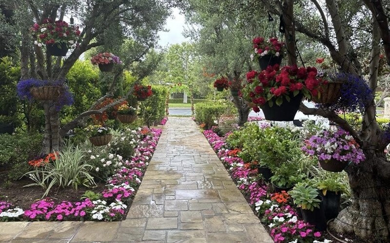 Dưới hàng cây xanh tỏa bóng mát là những giỏ hoa đủ màu sắc đặt khéo léo. Ảnh: FB Bích Tuyền