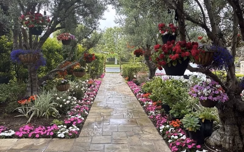 Dưới hàng cây xanh tỏa bóng mát là những giỏ hoa đủ màu sắc đặt khéo léo. Ảnh: FB Bích Tuyền