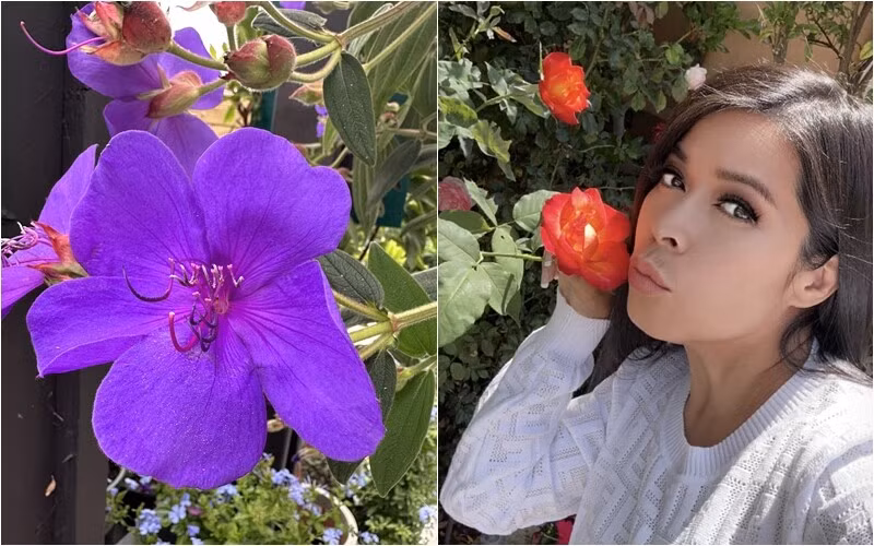 Mới đây, giữa scandal vụ kiện với Đàm Vĩnh Hưng, ca sĩ Bích Tuyền vẫn vui vẻ chia sẻ vườn hoa trong khuôn viên biệt thự 1.600 tỷ tại Mỹ. Ảnh: FB Bích Tuyền