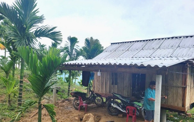 Thậm chí, một số hộ đầu tư tiền đổ trụ bê tông, dựng nhà ngay tại vườn để canh giữ cau tươi. Ảnh: Dân Việt