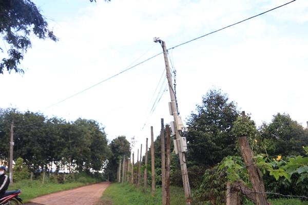 Camera an ninh xuất hiện tại nhiều nơi trên các diện tích trồng cà phê. Ảnh: Dân Việt