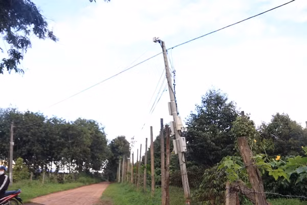 Camera an ninh xuất hiện tại nhiều nơi trên các diện tích trồng cà phê. Ảnh: Dân Việt