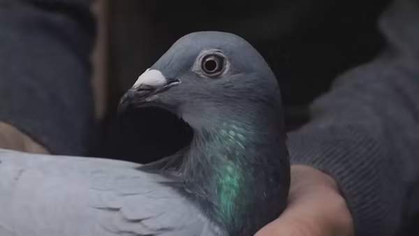 Chủ sở hữu của New Kim là một ông chủ giàu có, kinh doanh trong lĩnh vực công nghiệp. Ảnh: AP