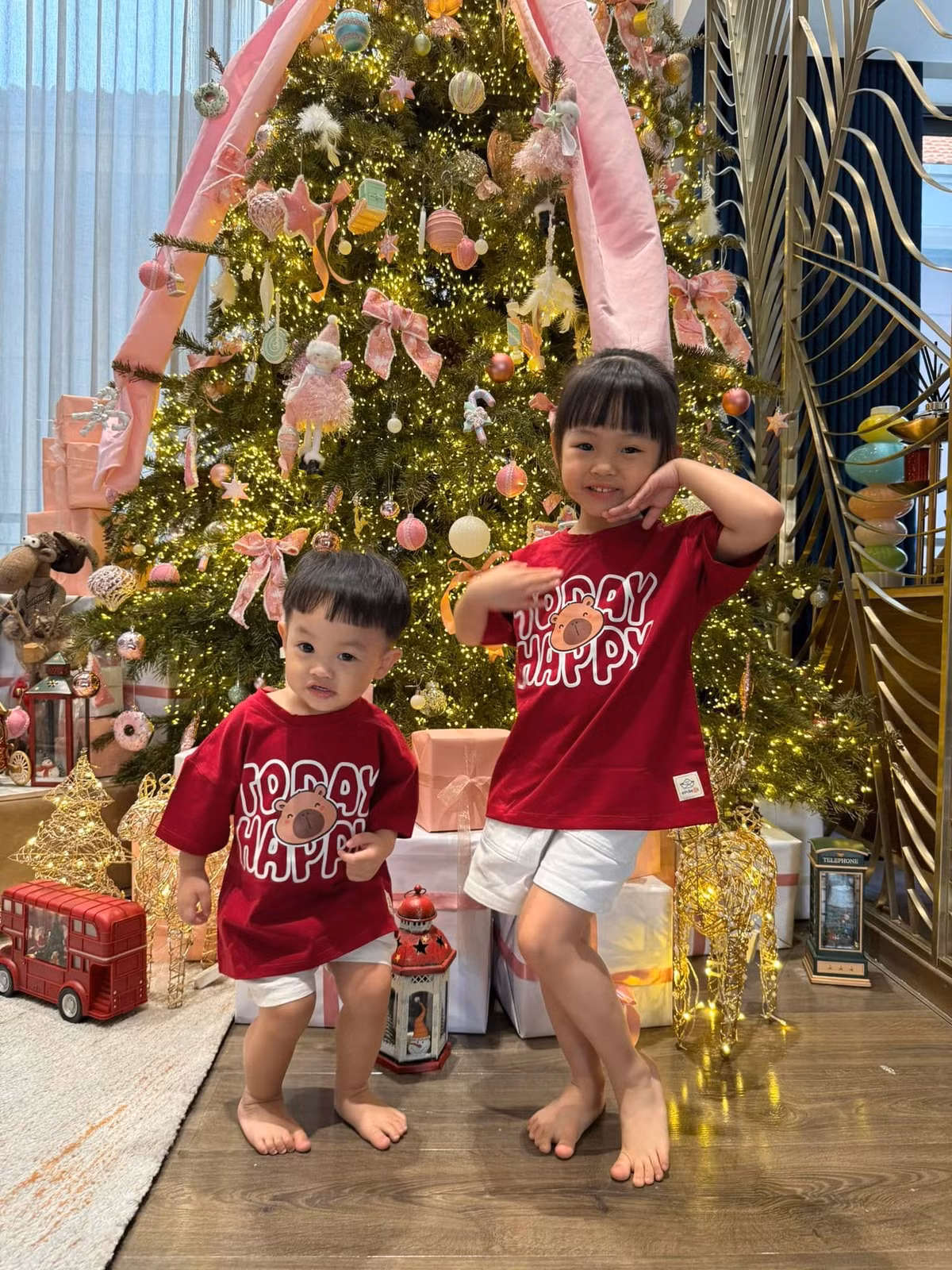 Hai bé Suchin và Sutin diện quần áo tông đỏ tạo dáng bên cây thông. Ảnh: FB Đàm Thu Trang