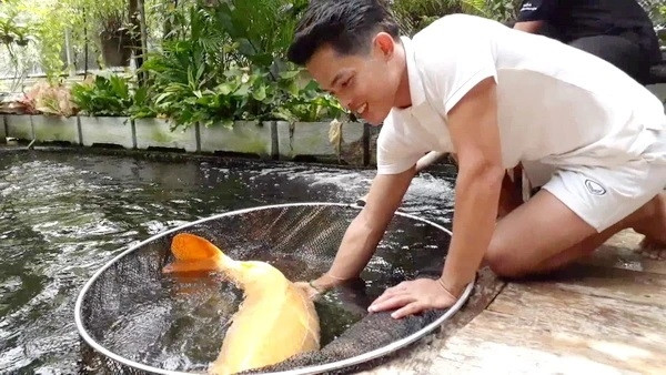 Người đàn ông 31 tuổi tên Bas đến từ huyện Sawankhalok, tỉnh Sukhothai (Thái Lan) mua con cá chép Koi từ trang trại Sawankhalok Koi địa phương. Ảnh: MGR
