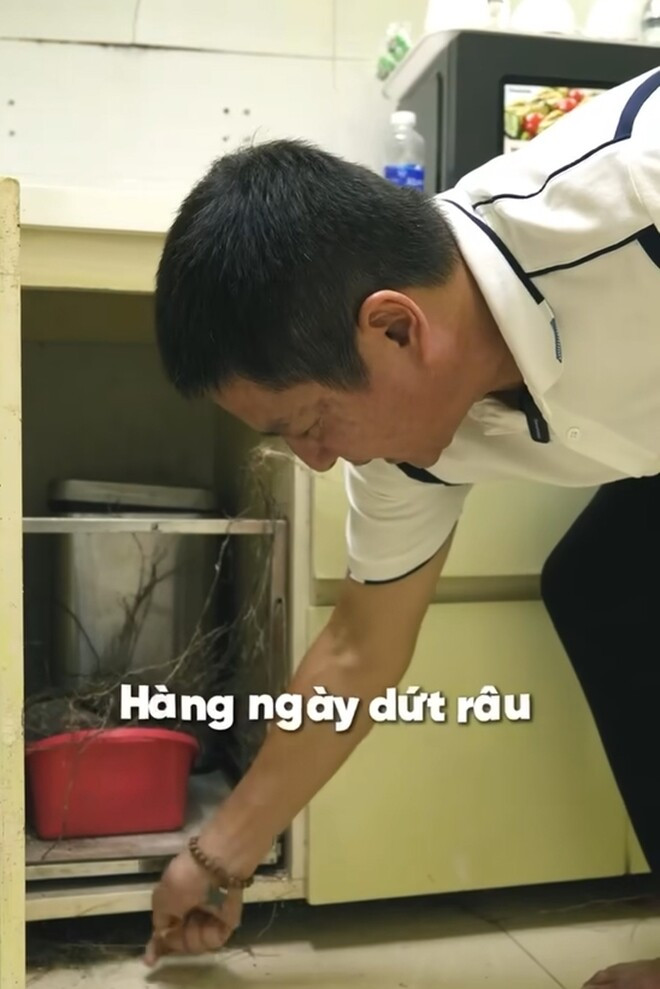 Trước đây có một cây sung to, cổ thụ đã chặt đi rồi nhưng vẫn còn rễ cây. Rễ cây mọc rất nhanh, hàng ngày Chí Trung phải "dứt râu". Ảnh chụp màn hình