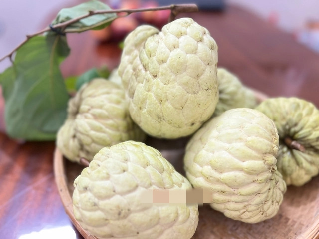 Na Thái có trọng lượng lớn, đạt từ 500-700 gram/trái, có quả nặng hơn 1 kg. Ảnh: Người lao động