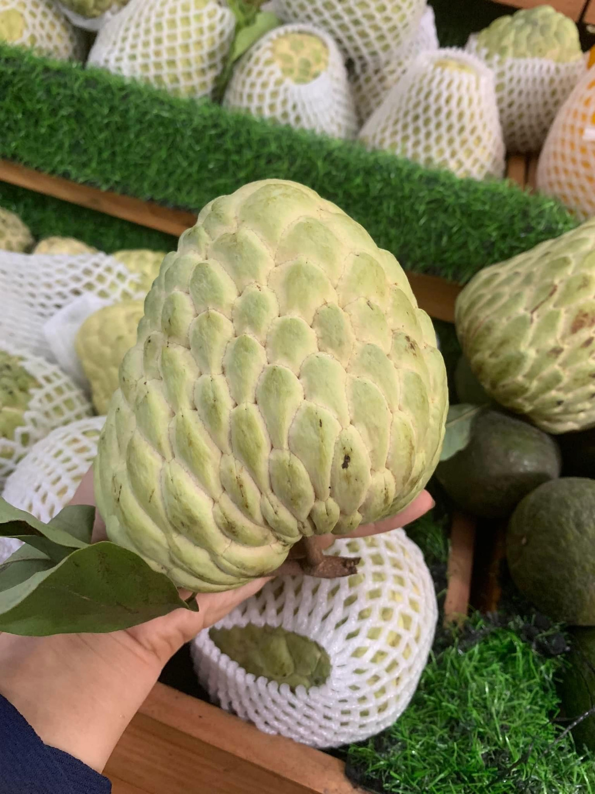 Vào dịp Tết, giá na Thái có thể lên tới 60.000 - 80.000 đồng/kg. Ảnh: Facebook