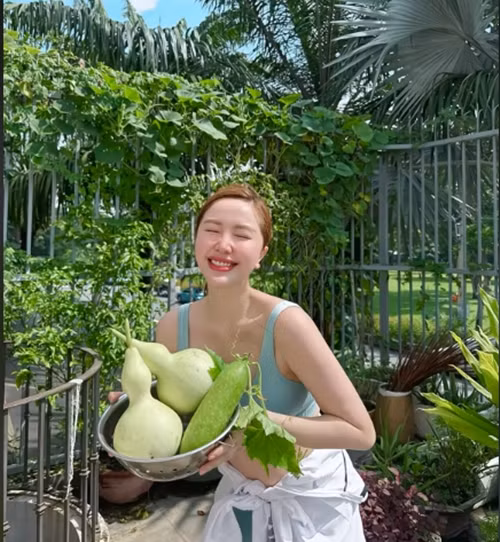 Bảo Thy cho biết vì không giỏi làm vườn nên đã chọn những giống cây dễ chăm sóc. Ảnh chụp màn hình