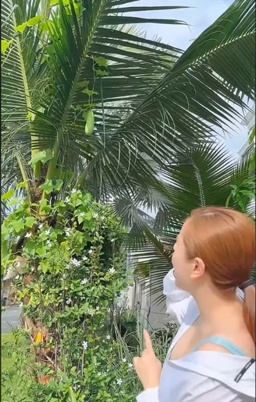 Bảo Thy cho biết, mảnh bườn bé xinh là quà tặng cho con trai. Bảo Thy mong con được vui chơi dưới tán lá xanh mát và thưởng thức hoa trái do chính tay mẹ trồng. Ảnh chụp màn hình