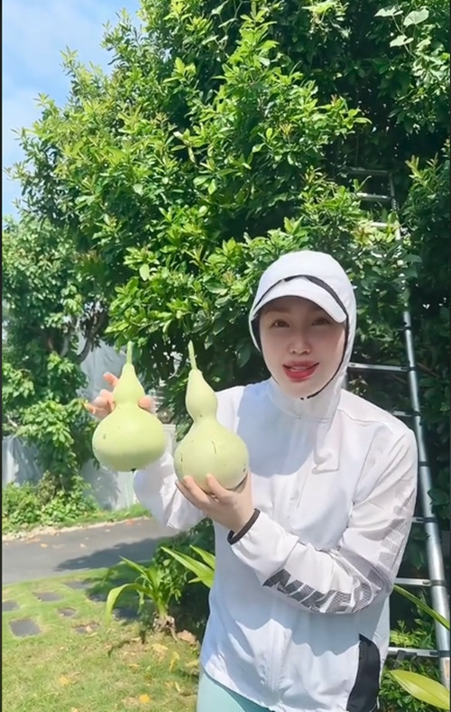 Bảo Thy thích thú khi hái được hai trái bầu hồ lô mọc ẩn bên trong cây lộc vừng. Ảnh chụp màn hình