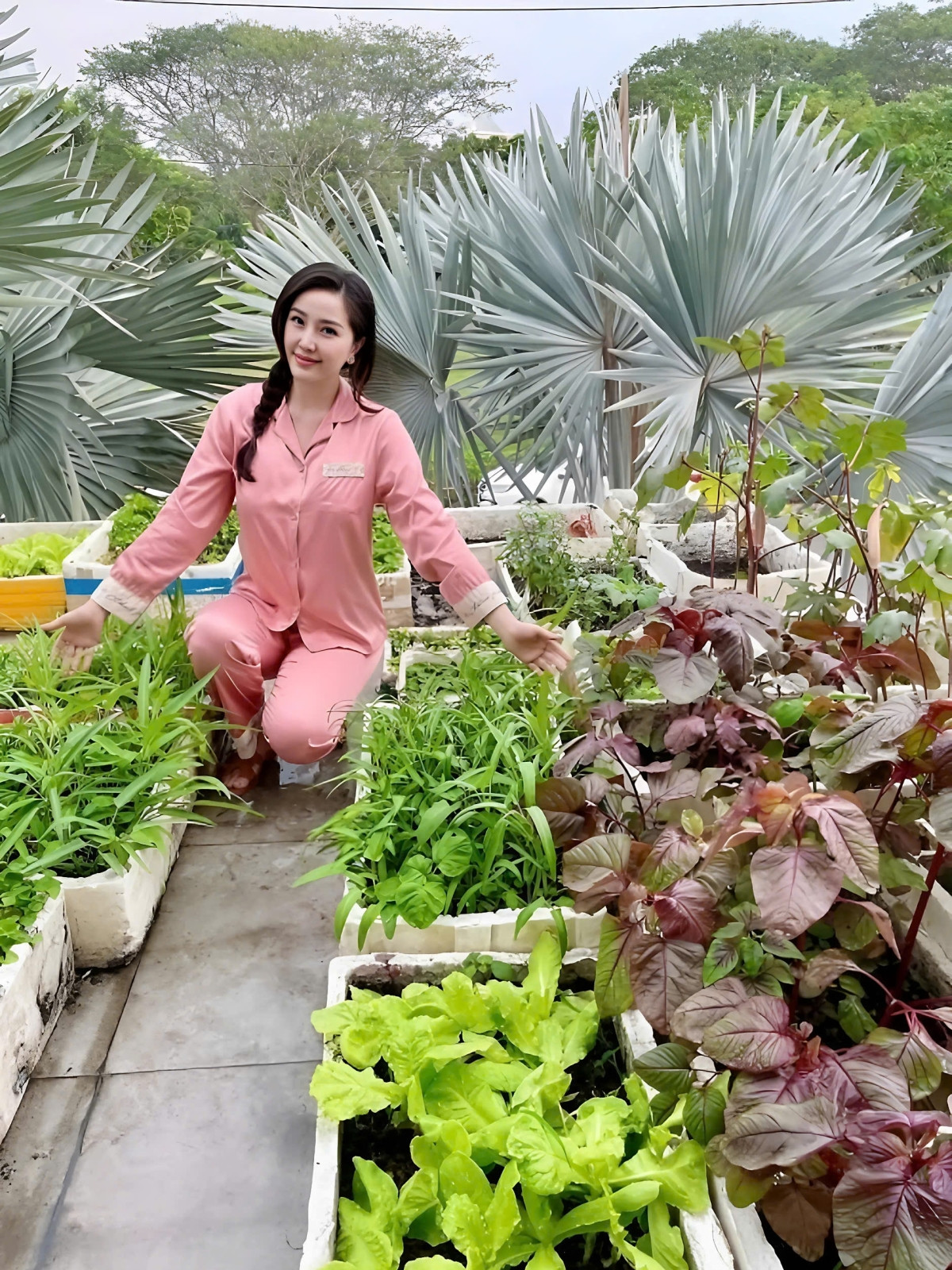 Trước đó, Bảo Thy trồng rau trong thùng xốp. Cô bày nhiều thùng đất trên sân thượng, ở sân sau biệt thự để trồng các loại rau phục vụ bữa ăn gia đình. Ảnh chụp màn hình