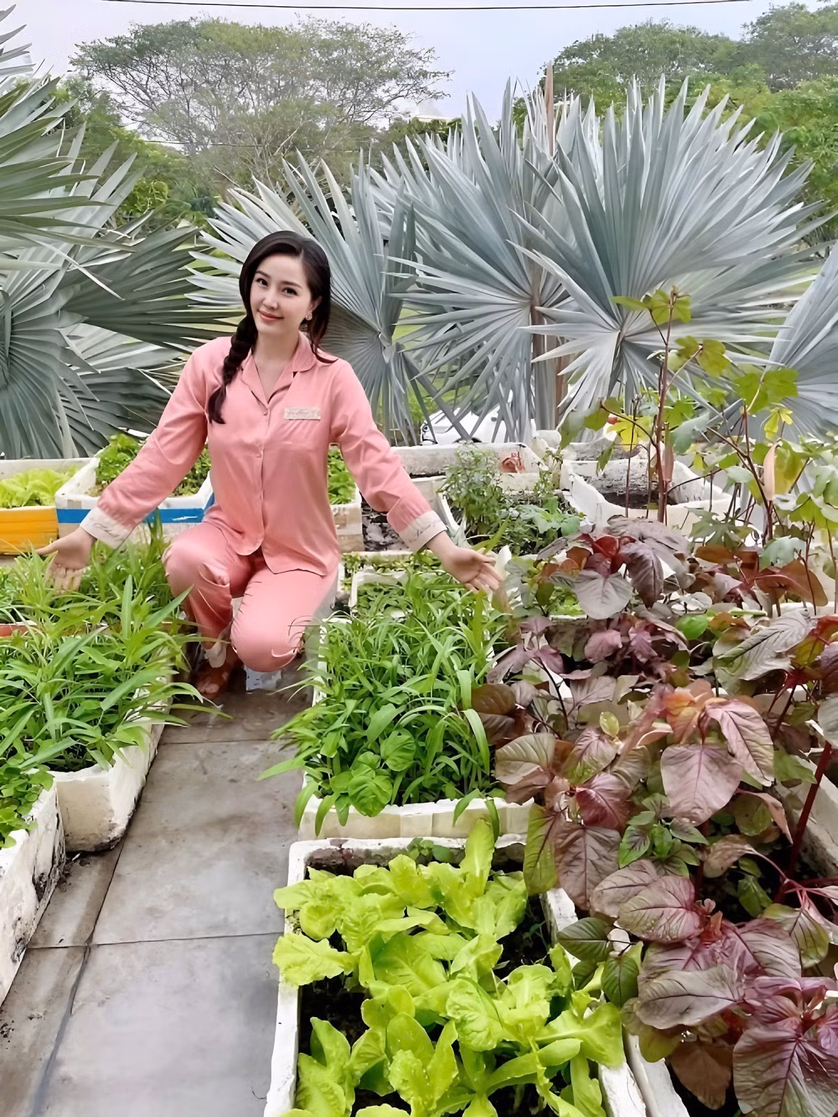 Trước đó, Bảo Thy trồng rau trong thùng xốp. Cô bày nhiều thùng đất trên sân thượng, ở sân sau biệt thự để trồng các loại rau phục vụ bữa ăn gia đình. Ảnh chụp màn hình