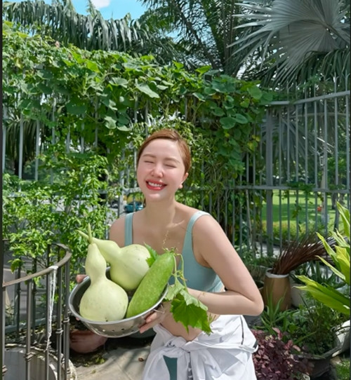 Bảo Thy cho biết vì không giỏi làm vườn nên đã chọn những giống cây dễ chăm sóc. Ảnh chụp màn hình