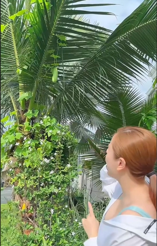 Bảo Thy cho biết, mảnh bườn bé xinh là quà tặng cho con trai. Bảo Thy mong con được vui chơi dưới tán lá xanh mát và thưởng thức hoa trái do chính tay mẹ trồng. Ảnh chụp màn hình