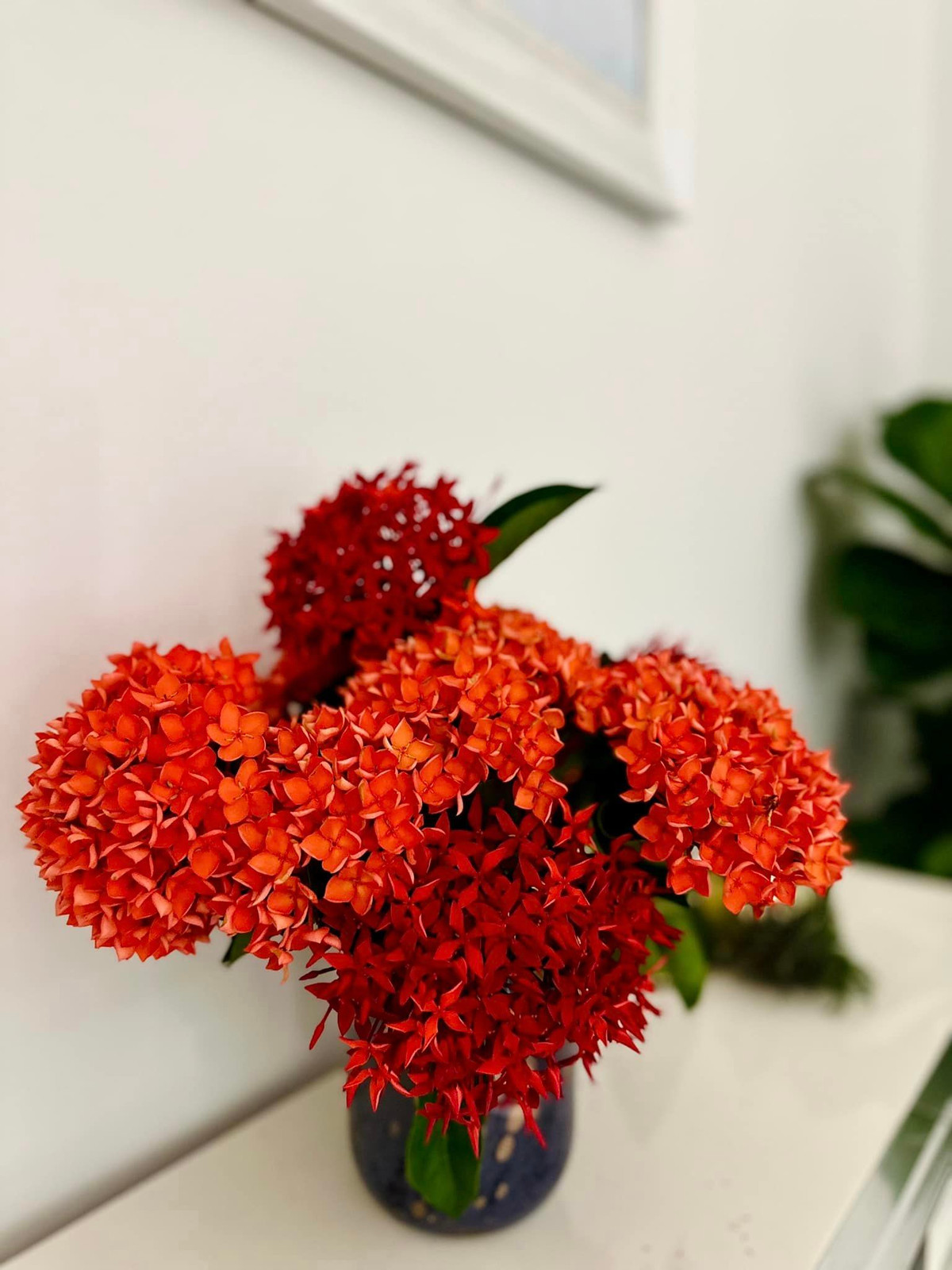 Bình hoa mẫu đơn rực rỡ mang lại cảm giác tươi mới và tràn đầy sức sống. Ảnh: FB Hoàng Thị Mỹ Lệ