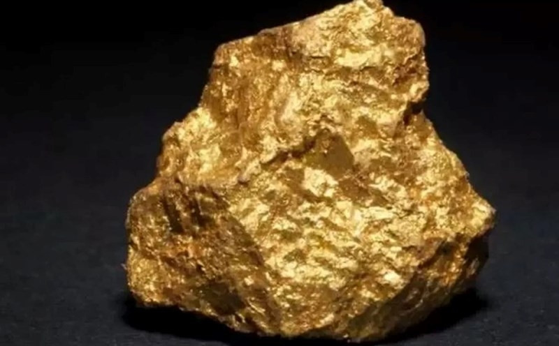 Hơn nữa, "kho báu" còn được bảo vệ bởi đội ngũ nhân viên giám sát 24/24 nên vấn đề an ninh được đảm bảo chặt chẽ. Ảnh minh họa