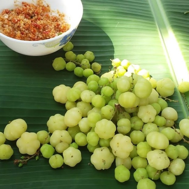 Quả chùm ruột vị chua nhiều hơn vị ngọt nên người dân địa phương thường dầm với mắm đường. Ảnh: Internet