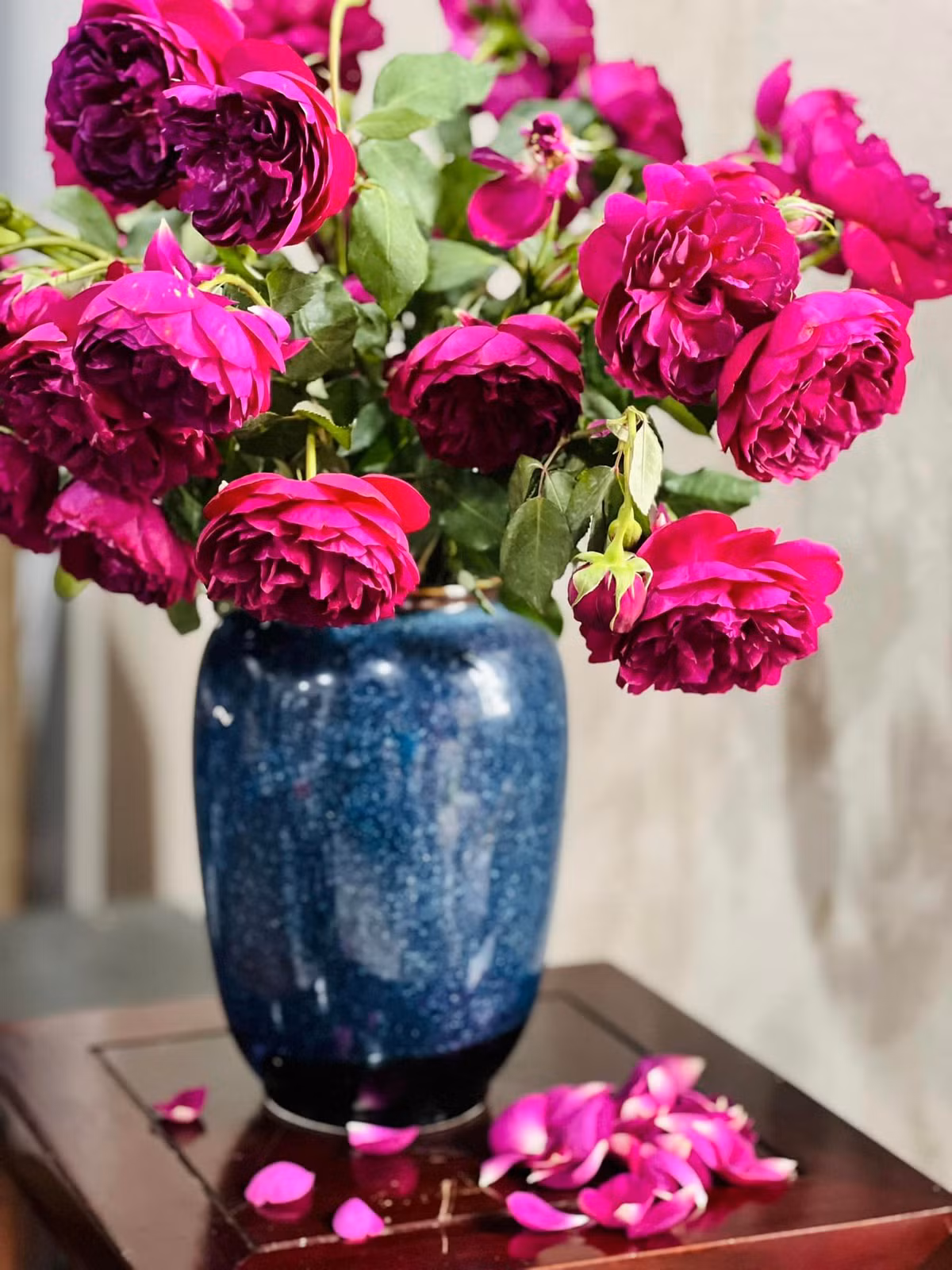 Hoa hồng Autumn Rouges cuối vụ, bông nặng trĩu và thơm ngọt. Ảnh: FB Dang Diem Quynh