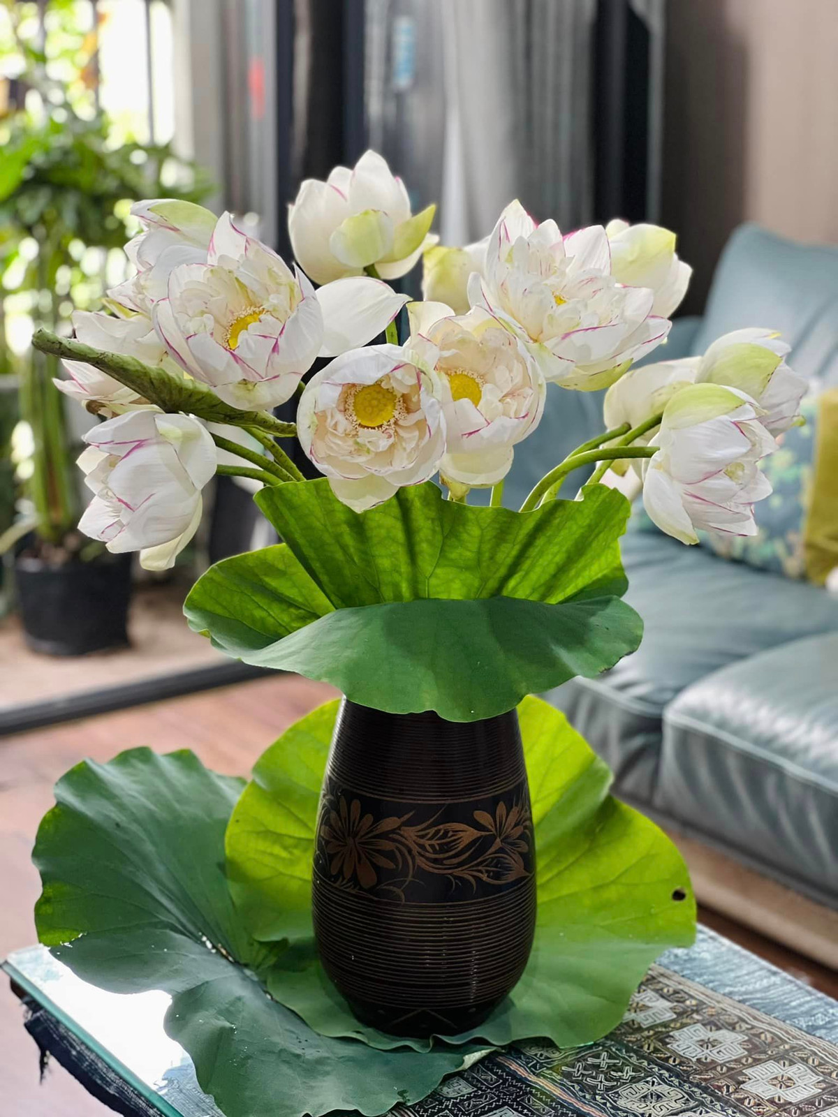 Sen cốm trắng tinh, viền hồng và đỏng đảnh. Ảnh: FB Dang Diem Quynh