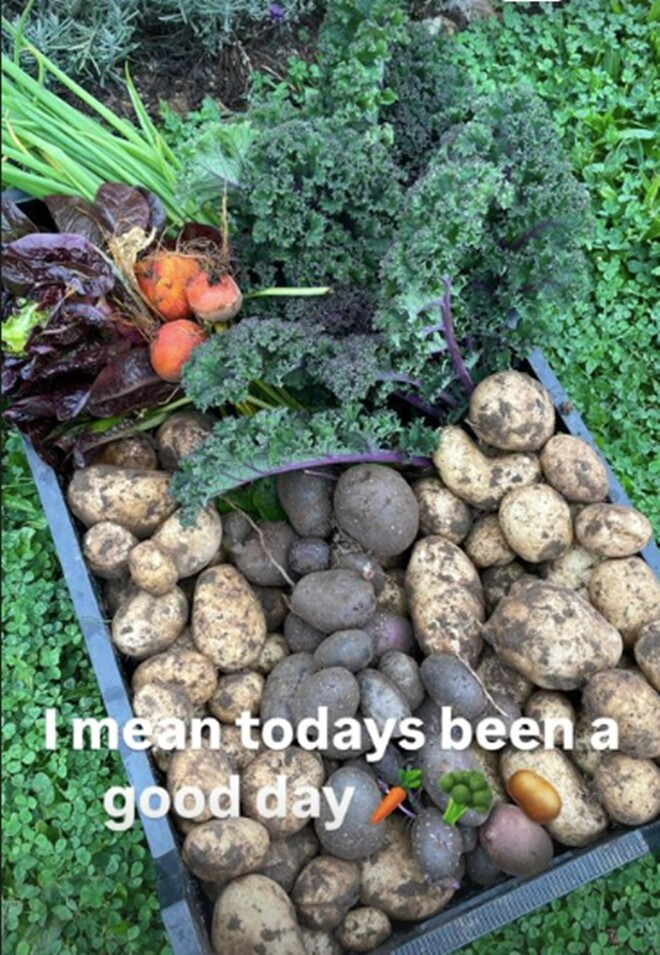 Các loại rau củ quả thu hoạch được trong khu vườn. Ảnh: DM