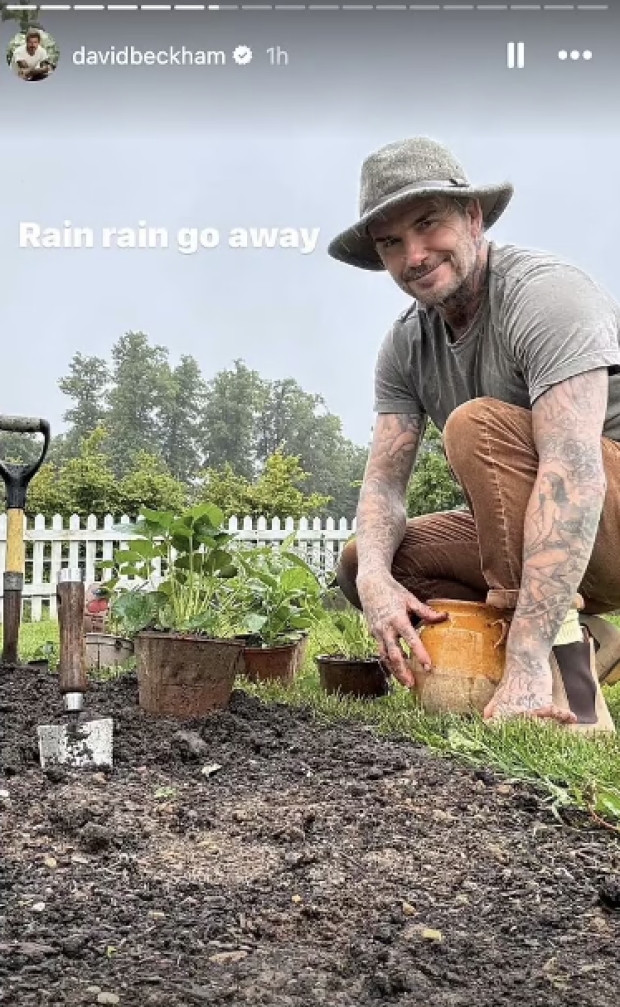 Nông trại của David Beckham nằm giữa khung cảnh thiên nhiên trù phú. Tại đây, nam danh thủ có thể thỏa sức thực hiện sở thích làm vườn. Ảnh: Thesun